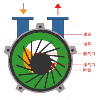 水環(huán)真空泵的工作原理圖